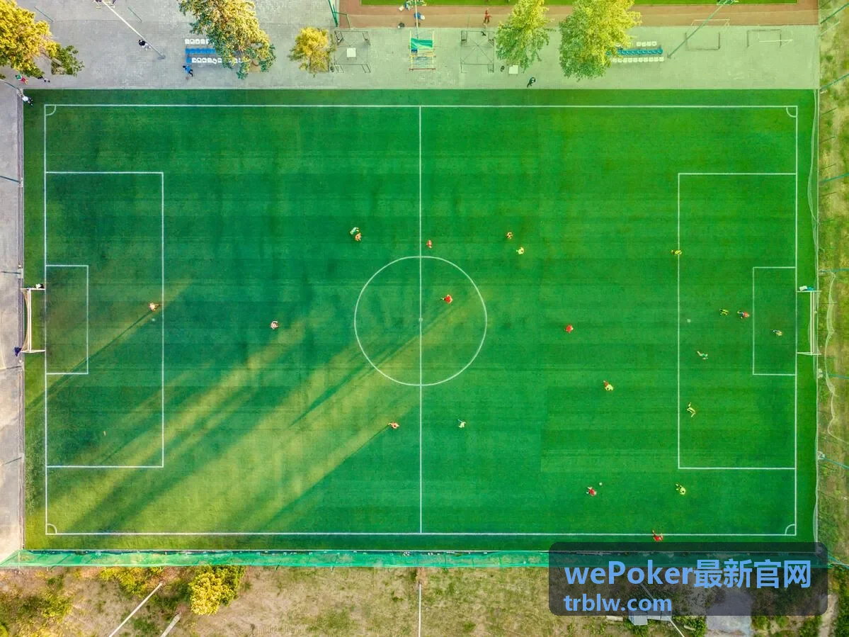 wePoker最新官网 牌型顺序与盲注层级示意